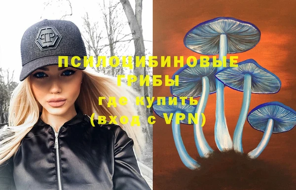 герыч Дмитров